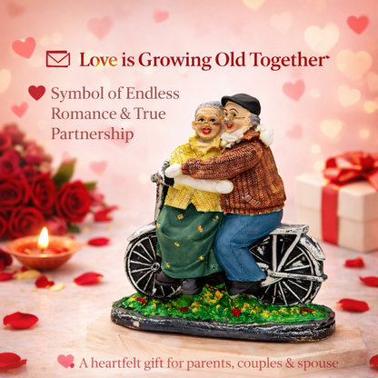 Dada-Dadi Romantic Couple Miniature Grandparents on Cycle Statue Showpiece